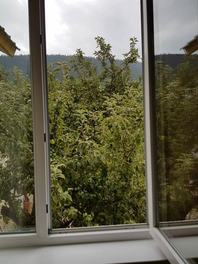 Guesthouse Guram Baba Mestia Eksteriør bilde